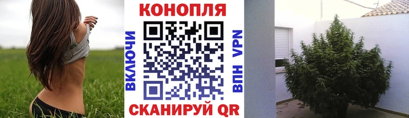 купить наркотики сайты kraken ссылки площадка как зайти Долинск Каннабис марихуана